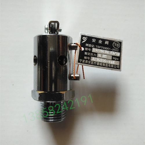 江阴滨江LS-B35L 50L 75L100L 120立式灭菌器安全阀0.22MPa放气阀