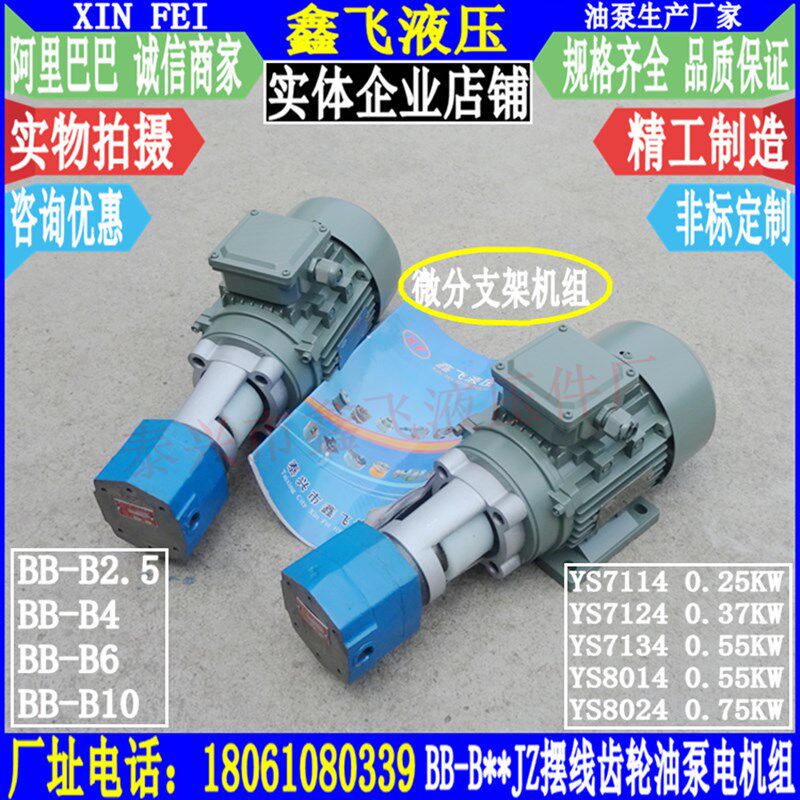 BB-BN10立卧两用式BB-B10N摆线齿轮油泵电机装置BBG-10  NPG