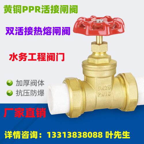 PPR闸阀黄铜双活接热熔