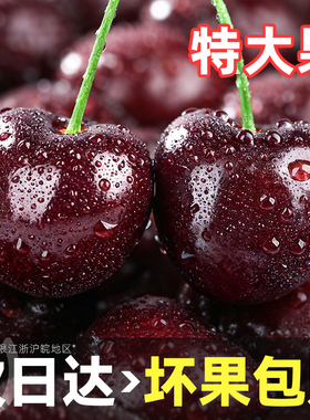 大连美早车厘子新鲜水果包邮当季整箱礼盒5斤孕妇5j樱桃原箱4j3j