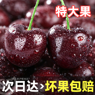 山东美早车厘子新鲜水果包邮当季整箱礼盒5斤孕妇5j樱桃原箱4j3j