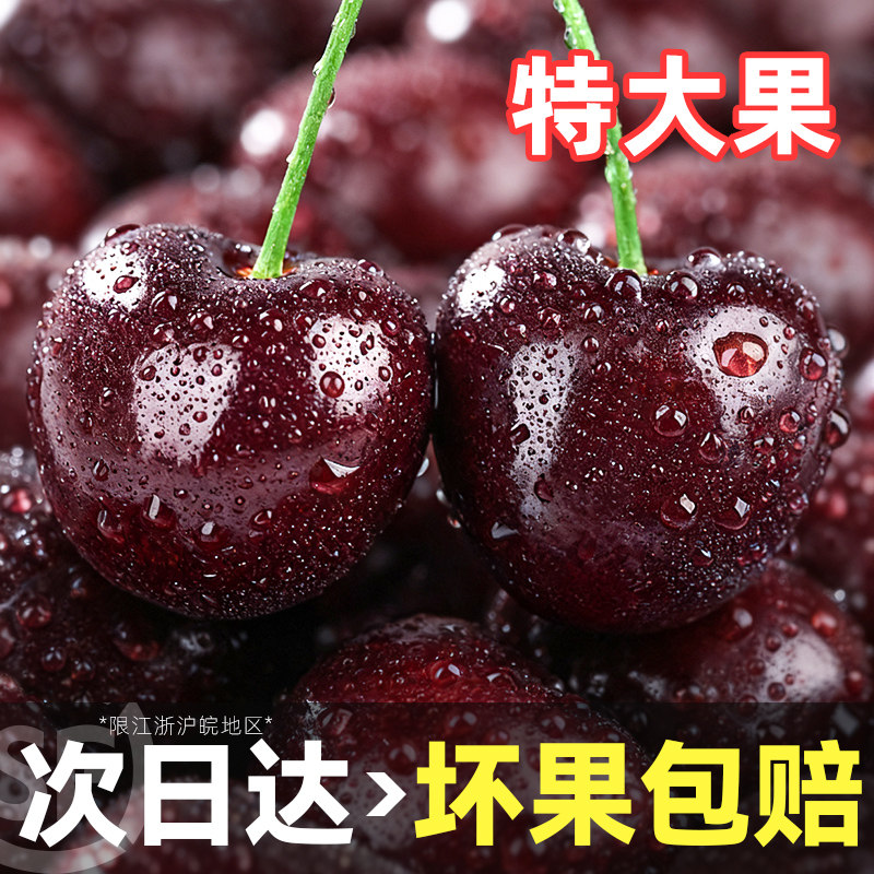 大连美早大樱桃新鲜水果国产车厘子大果当季整箱包邮礼盒5斤孕妇