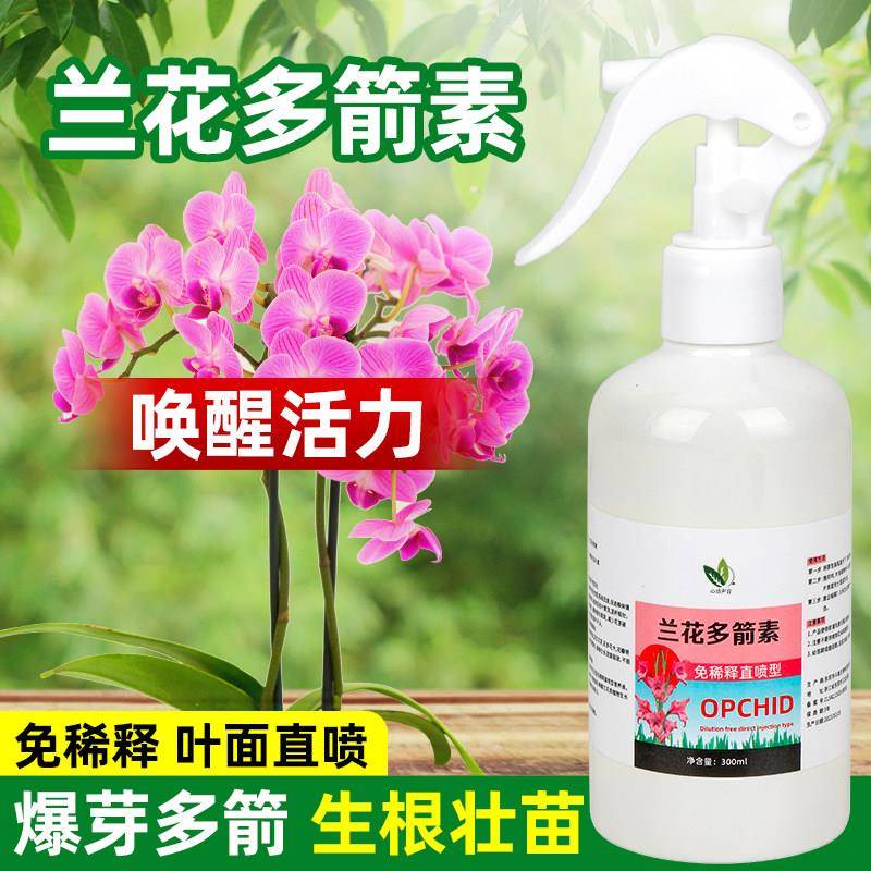 兰花多箭素爆芽素专用营养液蝴蝶兰多剑王兰灵王生根发芽开 花肥