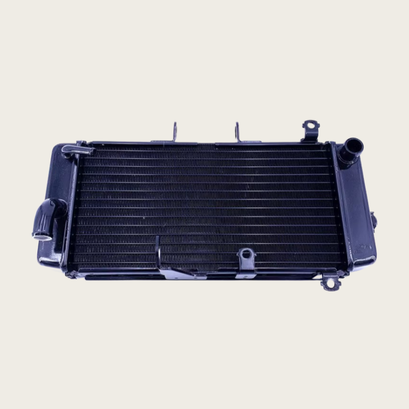 骊驰 GW250/S/F/J-H/GW250-A 骊驰水箱 散热器水箱副水箱散热水壶
