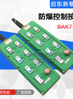 防爆电动葫芦控制手柄 BAK71起重机/行吊启东新黎明防爆按钮开关