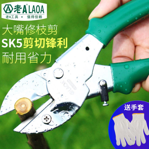 老A园艺剪刀8寸树枝剪刀果枝剪园林剪刀修花剪刀修枝摘果剪刀
