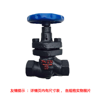 丝扣高温柱塞阀内螺纹丝口截止阀蒸汽导热油DN25 15 20 32 40 50