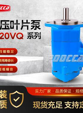 威格士叶片双联泵2520VQ21A8-1DC20液压泵电动变频高压耐用油泵