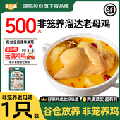 专属 默沙东 非笼养谷物饲养溜达整只冷冻生鲜鸡煲汤老母鸡950g