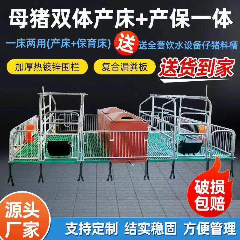 双体母猪产床保育床一体产保两用床养殖设备猪用产保单体分娩床