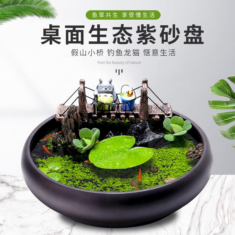 紫砂盘生态缸生态瓶鱼办公室盆栽创意DIY微景观浮萍水培植物垂钓