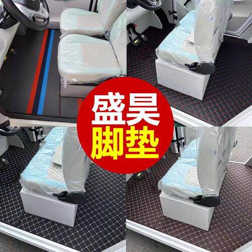 盛昊F3/G2/A2/A6A8/F1/M8/宏光MINI雷迈G6小虎大虎电动车脚垫地毯