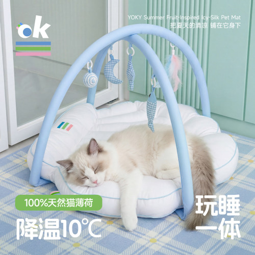 全网热销20W+贝壳薄荷凉凉窝