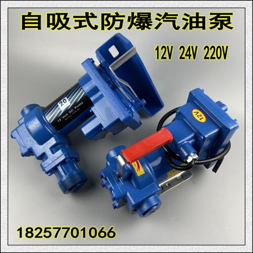 无刷防爆汽油泵小型计量12V24V220V电动抽油泵自吸泵静音电控泵