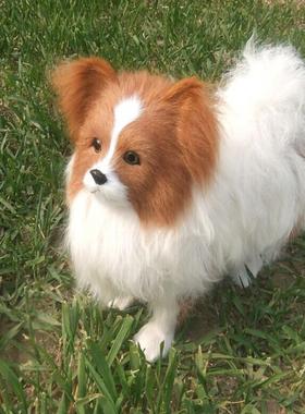 厂家现货仿真狗家居摆件创意桌面装饰品 蝴蝶犬模型 博美犬