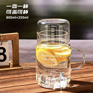 【一壶一盖】大容量家用高硼硅耐高温玻璃冷水壶泡茶杯饮水杯QL