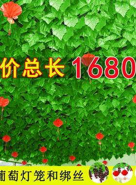 彷真绿箩植物假绿叶藤条藤蔓吊顶塑料葡萄叶彷真花装饰管道缠绕