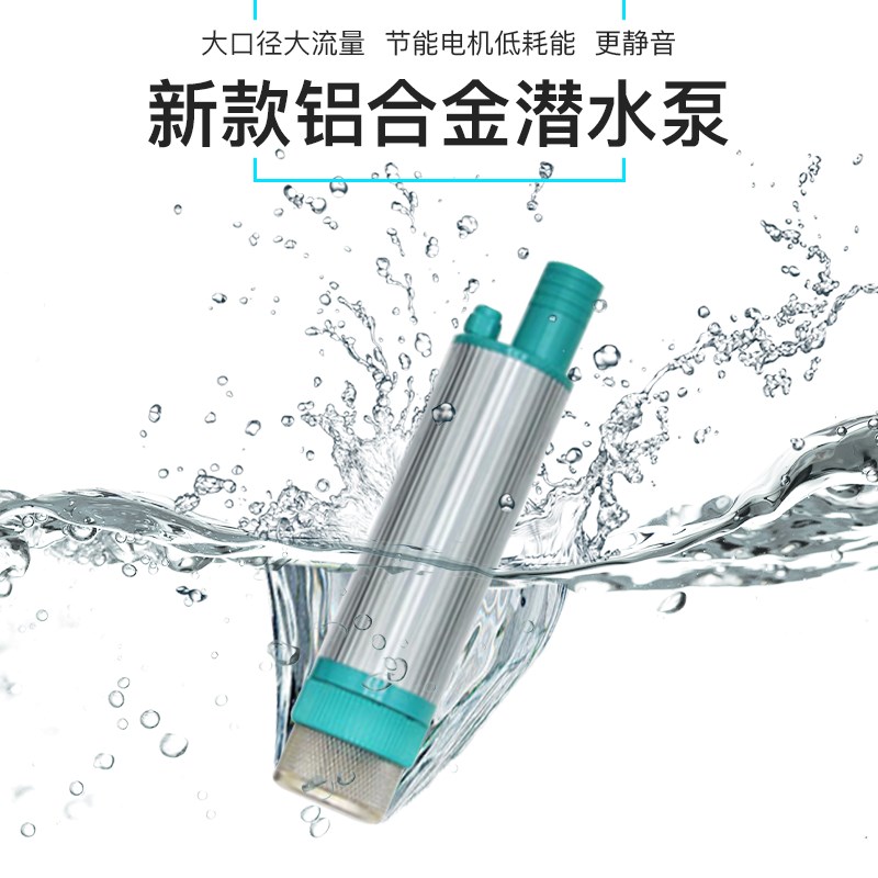 小型抽水泵机电动沉潜水泵自吸家用12v24伏220直流低压抽酒器水棒