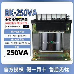 天正电气TENGEN BK-250VA控制变压器380220110 36 24126V全铜250W