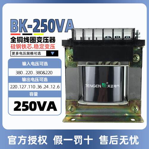 天正电气TENGEN BK-250VA控制变压器380220110 36 24126V全铜250W