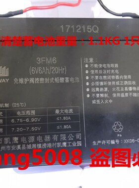 LONG WAY蓄电池 3FM6 6V6AH/20HR玩具车童车小孩子电动汽车用电瓶