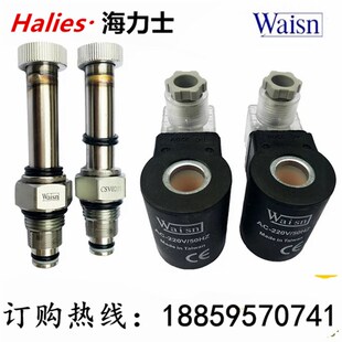 台湾崴盛WAISN电动止回阀HS-2C DC24V AC220V升降阀CSV0202
