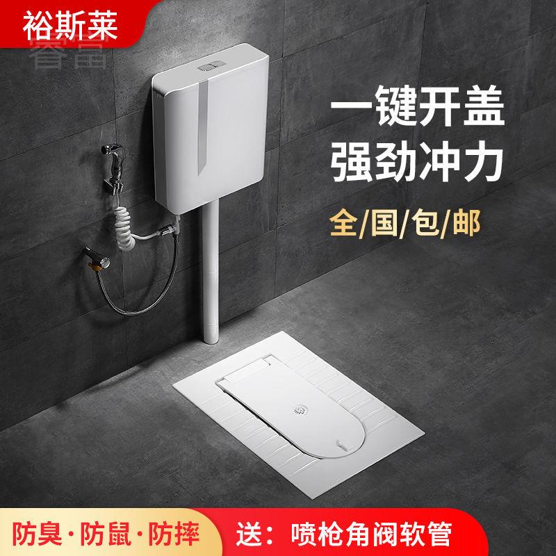 睿富蹲便器水箱套装带盖板家用防臭厕所陶瓷大便盆卫生间蹲坑式