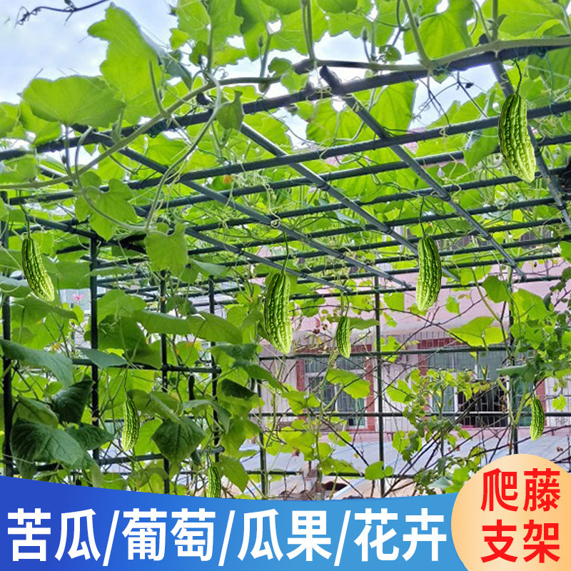 葡萄架庭院户外园艺爬藤杆包塑钢管花架葫芦架丝瓜架支撑杆爬藤架