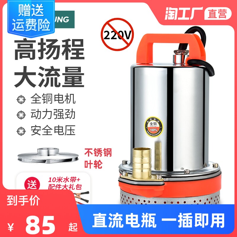 直流抽水泵家用电瓶车潜水电泵12v24v48v60v小型电动农用抽水机