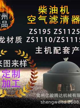 ZS195ZS1110/1115ZS1125 柴油机空气滤清器总成 A空总成 空滤器