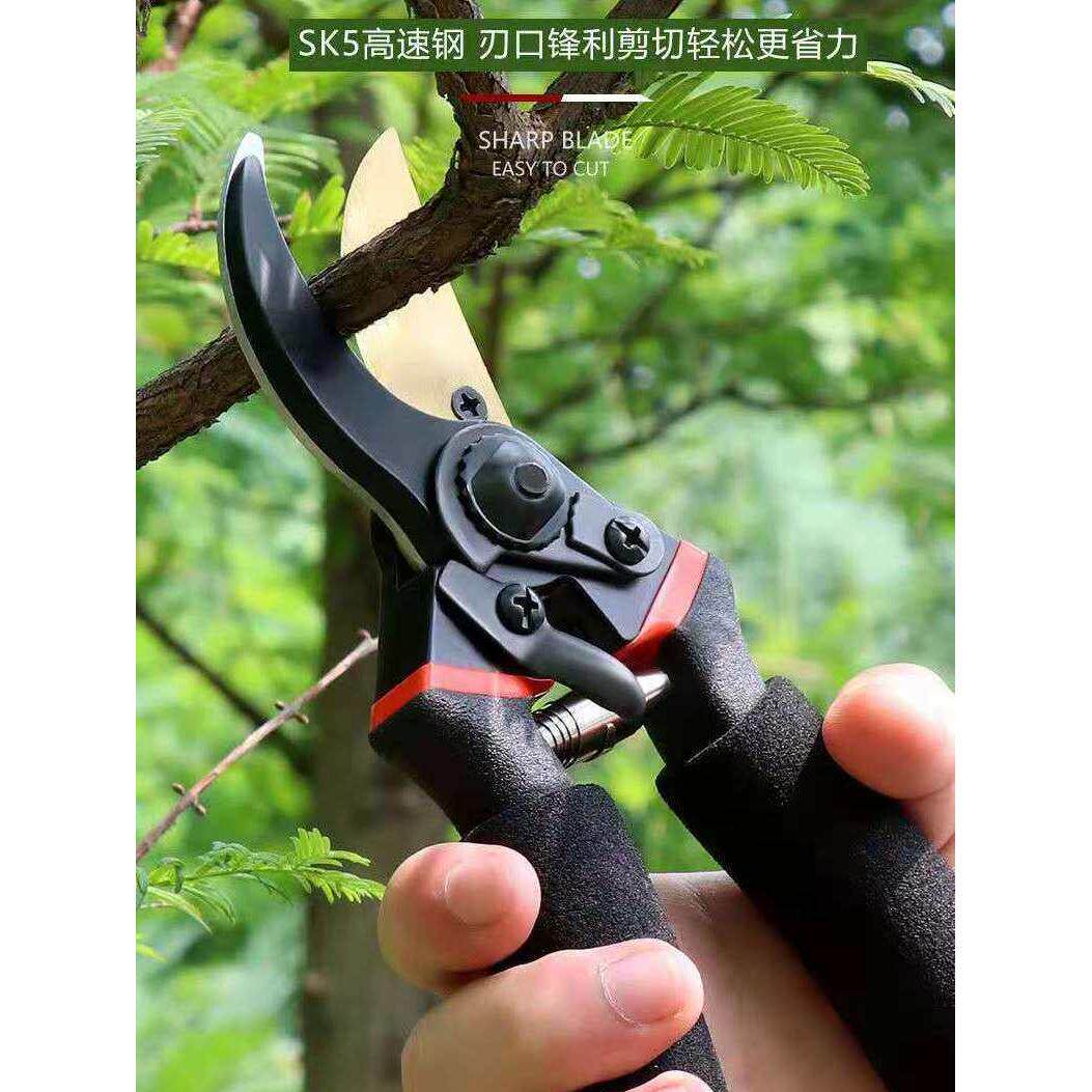 佰卓精工园艺剪刀剪树枝专用剪刀修枝剪园林果树修花家用粗枝剪子图片