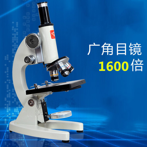 640倍光学显微镜 显微镜