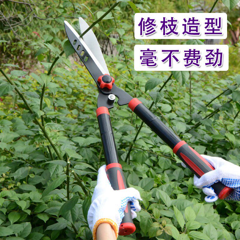 果树修枝剪刀园林树枝修枝剪园艺花剪大剪刀绿篱草坪修剪工具包邮