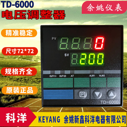 可控硅电压调整器同步表TD-6000电压同步TD6000电压反馈优质现货
