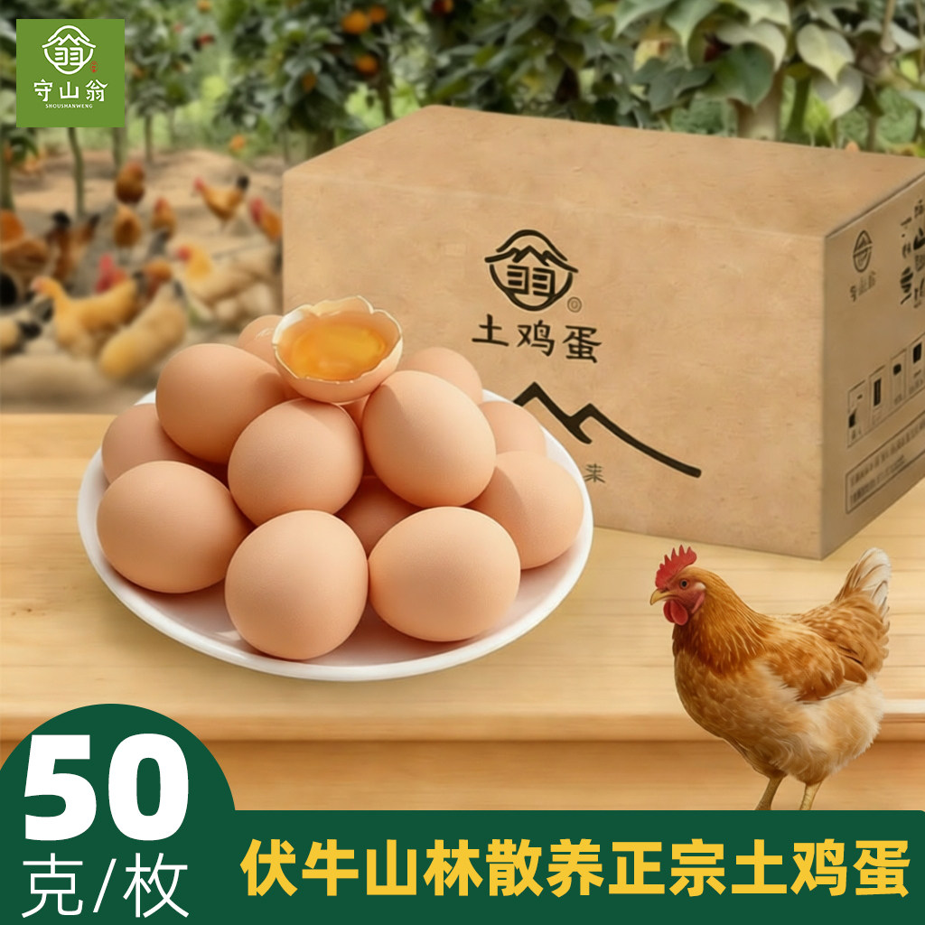 守山翁山林散养正宗土鸡蛋新鲜精选大号50g谷物柴鸡蛋50枚整箱,水产肉类/新鲜蔬果/熟食,鸡蛋,淘宝优惠券,粉丝福利购,淘宝优惠卷
