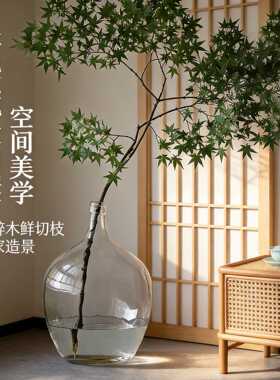 简约透明大肚玻璃花瓶小口马醉木花瓶吊钟插花客厅摆件水容器大号