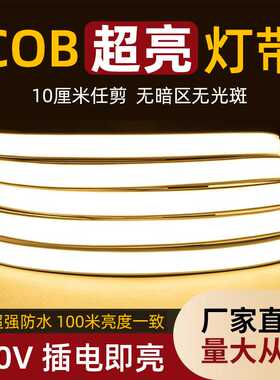 led灯带220v带插头带开关防水超亮自粘线形客厅氛围COB户外软灯条