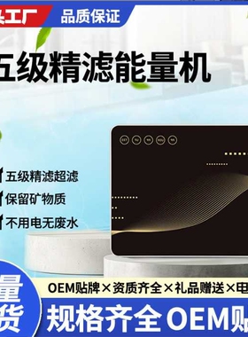 五级超滤过滤器英文俄文家用直饮净水器厨下壁挂不插电净水机