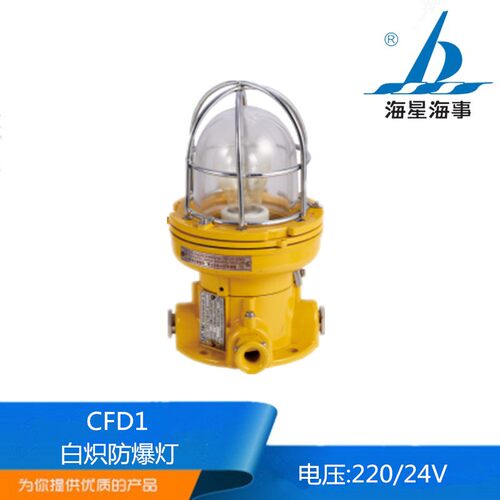 海星海事船用铝质白炽防爆灯舱顶灯CFD1防水24V220V100W CCS正品