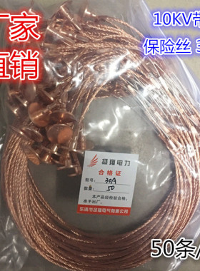 30A 熔丝带扣保险丝10KV 户外RW跌落式熔断器专用 高压熔丝10KV