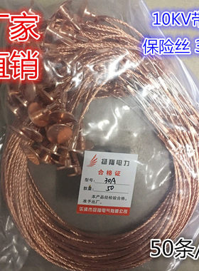 30A 熔丝带扣保险丝10KV 户外RW跌落式熔断器专用 高压熔丝10KV