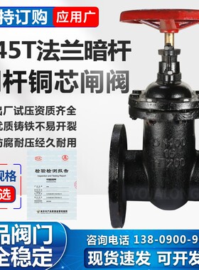 法兰铸铁闸阀铜杆铜芯防护阀门Z45T人防自来水管栅栏机阀DN100闸