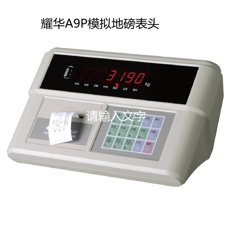 上海耀华XK3190-A9称重仪表模拟地磅打印表头显示器d2008数字式