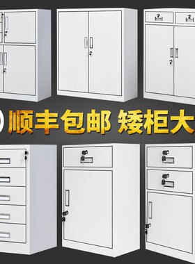 办公室带锁冷轧钢文件柜移动式铁皮矮柜抽屉资料柜