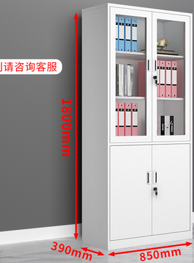 钢制办公室大器械文件柜铁皮柜书柜资料柜密码带锁凭证档案柜柜子