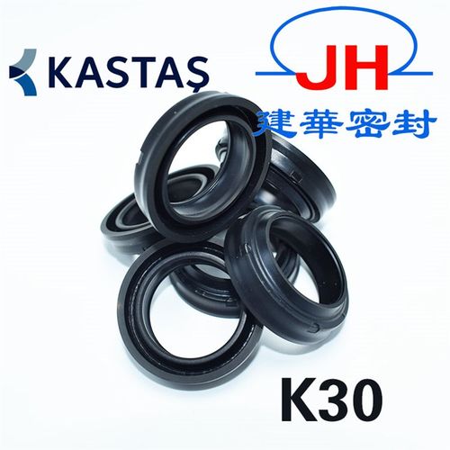 K30原装进口卡斯塔斯KASTAS密封件油封液压气动防尘带骨架NBR