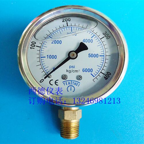 YN-60,不锈钢表壳60MM立式0-400KG充油耐震压力表,液压表油压表