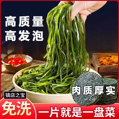 活动降价【买10包送10包】新鲜压缩海带丝烘干圆饼脆爽凉拌干净