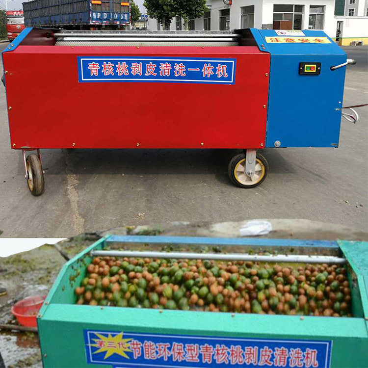 农场青核桃去皮清洗一体机电动脱皮机中小型家用剥皮清洗一体机