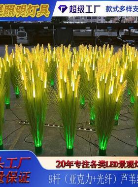 新款户外led亚克力发光芦苇灯防水光纤装饰草坪灯